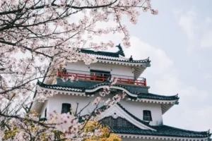 일본 사가현 여행