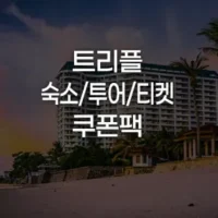 숙소, 투어, 티켓 30만원 쿠폰팩